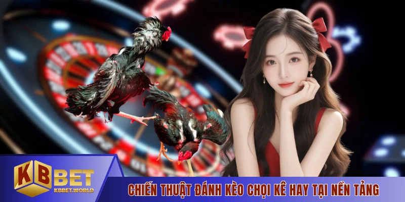 Chiến thuật đánh kèo chọi kê hay tại nền tảng