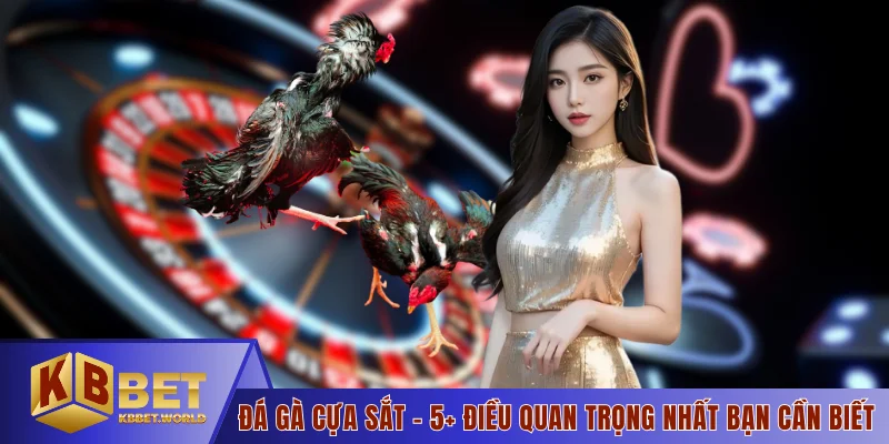 Đá Gà Cựa Sắt - 5+ Điều Quan Trọng Nhất Bạn Cần Biết