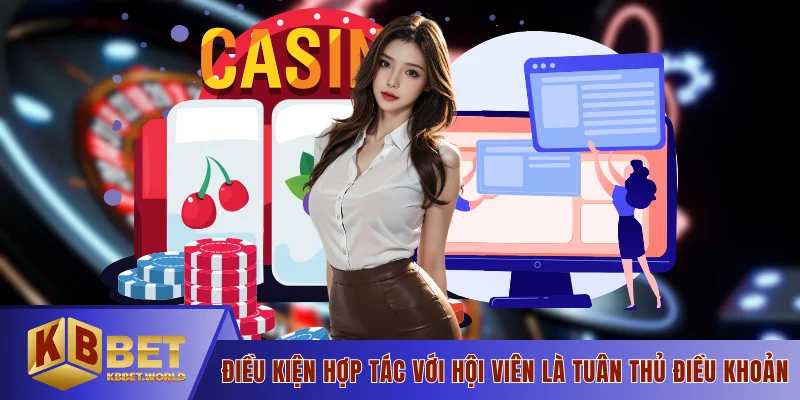 Điều kiện hợp tác với hội viên là tuân thủ điều khoản