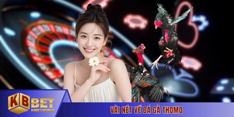 Vài nét về đá gà Thomo